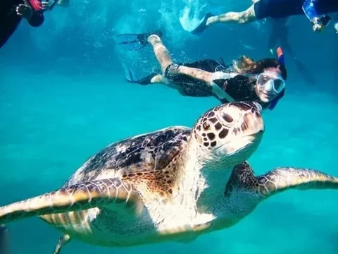 Marsa Alam