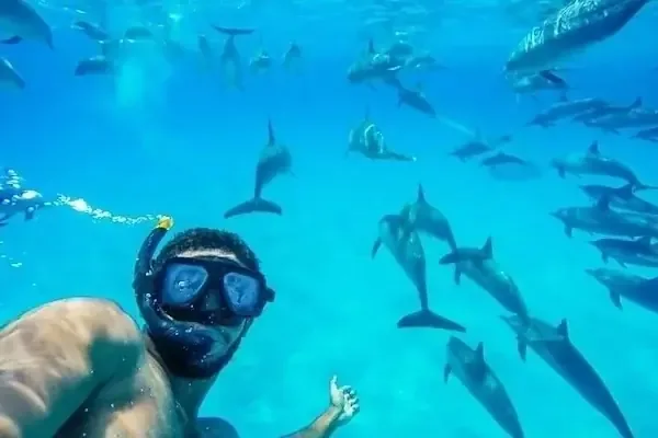 Best Dolphin Family Activities in Hurghada