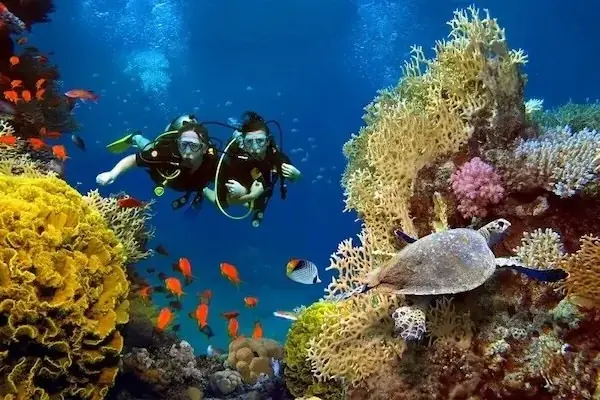 Tauchtour für Zertifizierte Taucher in Hurghada — view 4