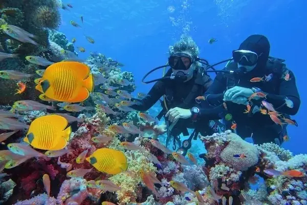 Tauchtour für Zertifizierte Taucher in Hurghada — view 5