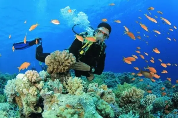 Discover Scuba Diving in Hurghada — view 4