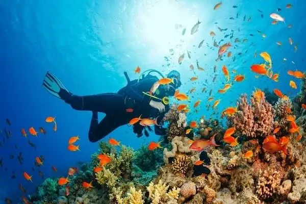 Discover Scuba Diving in Hurghada — view 5