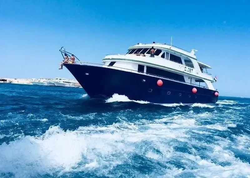 Excursion de groupe snorkeling Dolphin House Hurghada in Hurghada — view 2
