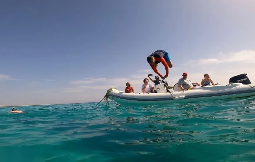 Dolphin House Speedboat Tour in Hurghada — view 5