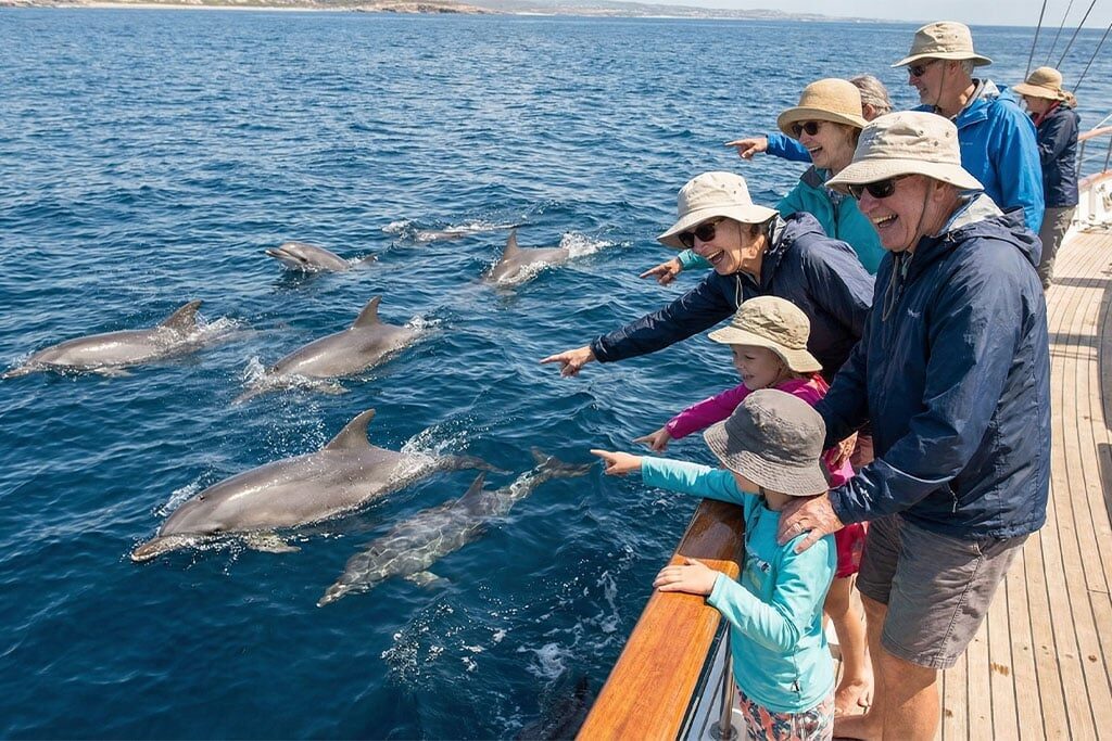 Dolphin House Tour in Hurghada