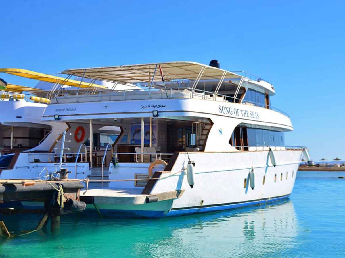 Dolphin House Group Yacht Charter Marsa Alam in Marsa Alam