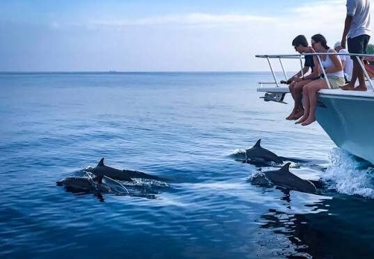 Dolphin House Group Yacht Charter Marsa Alam in Marsa Alam — view 2