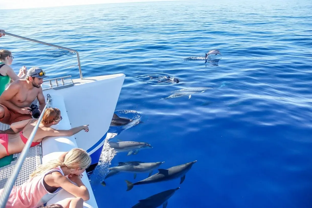 Dolphin House Group Yacht Charter Marsa Alam in Marsa Alam — view 3