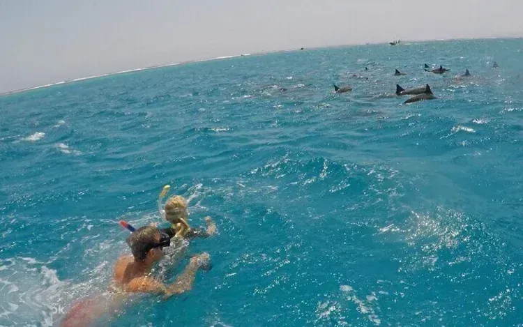 Dolphin House Group Yacht Charter Marsa Alam in Marsa Alam — view 5