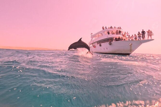 Dolphin Watching Boat Trip in Hurghada
