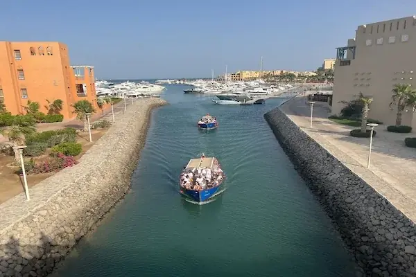 Excursion El Gouna Dolphin House in Hurghada