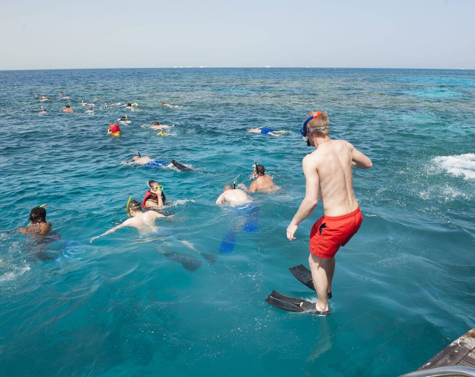 Elphinstone Reef Snorkeling Trip in Marsa Alam — view 2