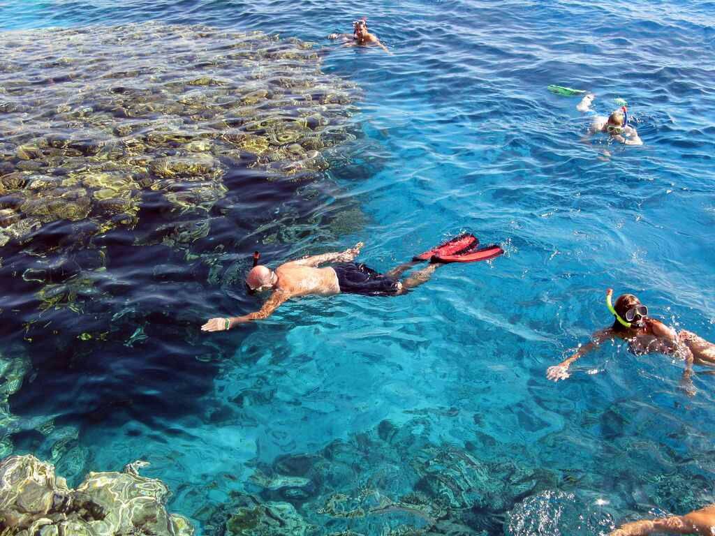 Elphinstone Reef Snorkeling Trip in Marsa Alam — view 3
