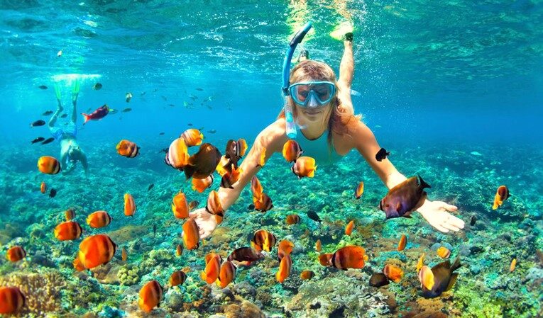 Elphinstone Reef Snorkeling Trip in Marsa Alam — view 5