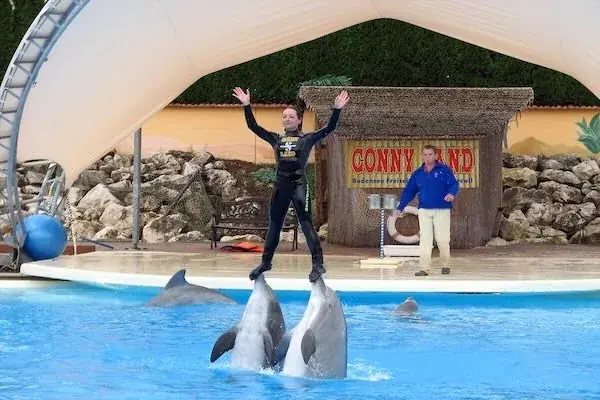 Familien-Delfinshow in Hurghada — view 3
