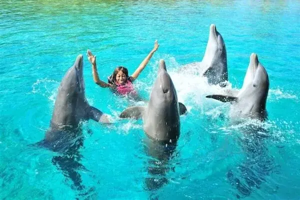 Familien-Delfinshow in Hurghada — view 4