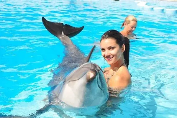 Familien-Delfinshow in Hurghada — view 5