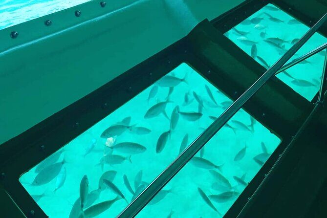 Family Glass Bottom Boat Trip in Hurghada — view 2
