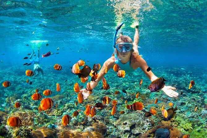 Family Snorkeling Trip in Hurghada — view 2