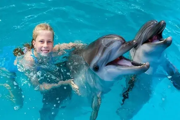 Family Swimming with Dolphins in Hurghada — view 2