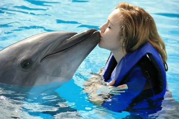 Family Swimming with Dolphins in Hurghada — view 3