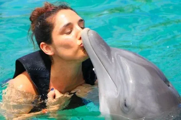 Family Swimming with Dolphins in Hurghada — view 4
