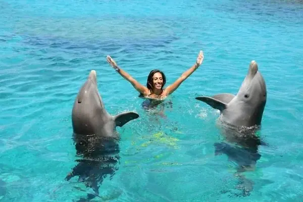 Family Swimming with Dolphins in Hurghada — view 5