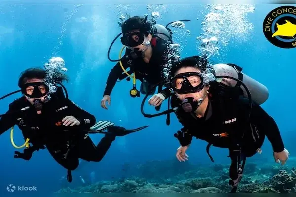 Full Day Diving Boat Tour in Hurghada — view 3