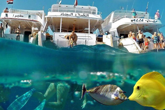 Giftun Island Schnorchel-Ausflug in Hurghada — view 3