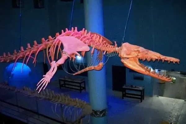 Hurghada Grand Aquarium Tour — Hurghada, rated 4.9 on TripAdvisor