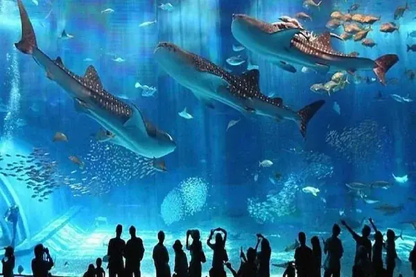 Hurghada Grand Aquarium Tour in Hurghada — view 2