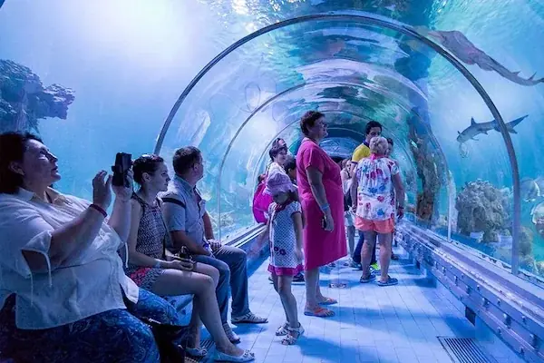 Hurghada Grand Aquarium Tour in Hurghada — view 4
