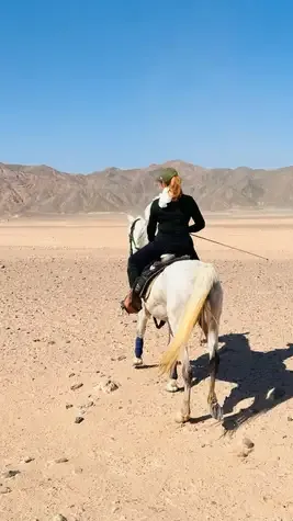 Desert & Sea Horse Riding in Hurghada