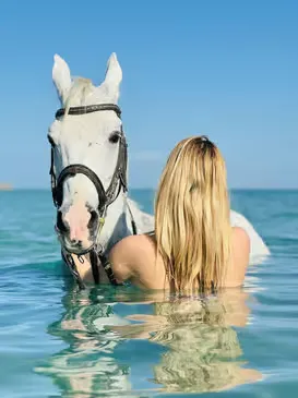 Desert & Sea Horse Riding in Hurghada — view 3