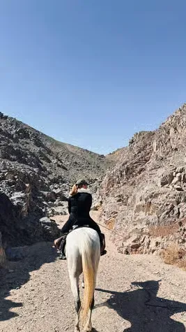 Desert & Sea Horse Riding in Hurghada — view 4