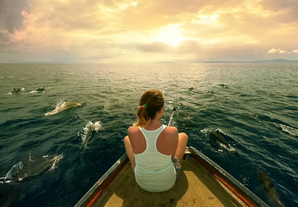 Location de Speedboat de Luxe in Hurghada — view 4