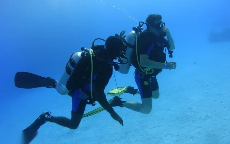 Marsa Mubarak Sea Turtle Snorkeling Half-Day Trip in Marsa Alam — view 5