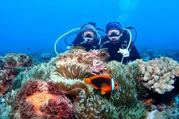 Orange Bay Schnorcheln & Tauchen in Hurghada — view 3