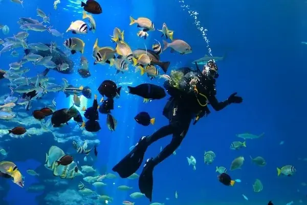 PADI Deep Diver in Hurghada — view 3