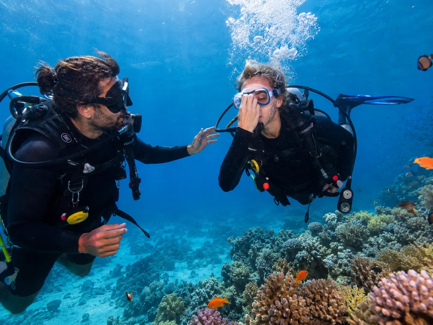 PADI Dive Master in Hurghada — view 3