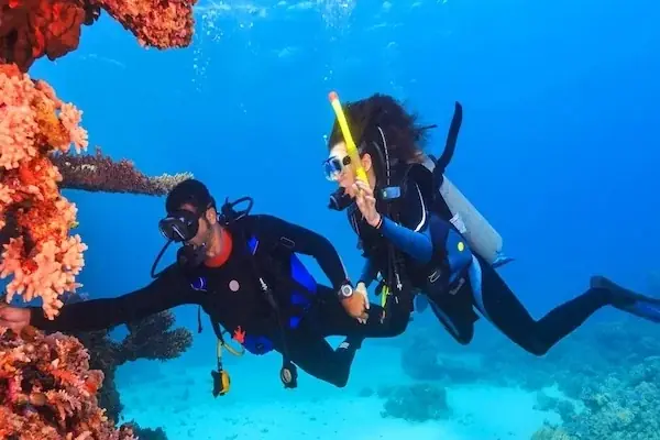 PADI Tauchausflug in Hurghada — view 5