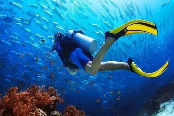 PADI Dry Suit Diver