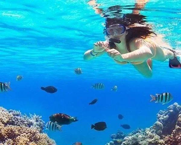 PADI Junior Open Water in Hurghada — view 2