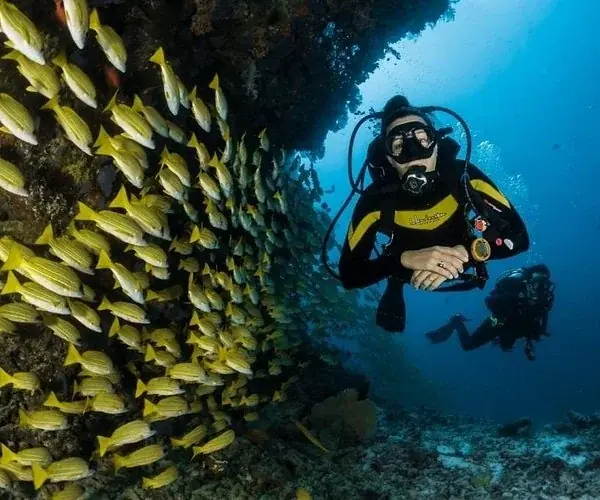 PADI Junior Open Water in Hurghada — view 3