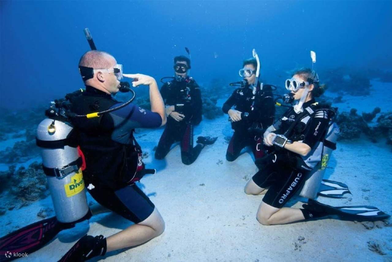 PADI Open Water Diver in Hurghada — view 4