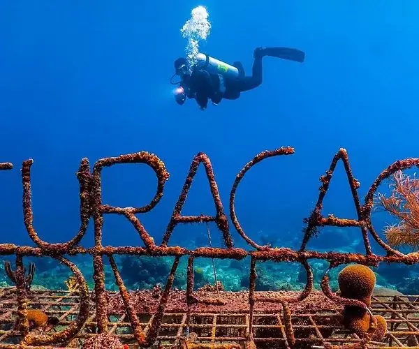 PADI Open Water Scuba Instructor in Hurghada — view 3
