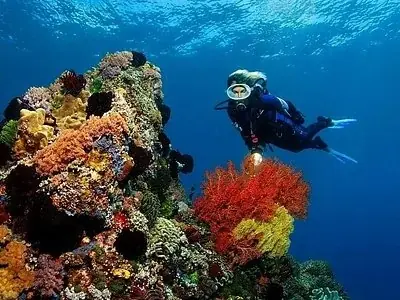 PADI Open Water Scuba Instructor in Hurghada — view 4