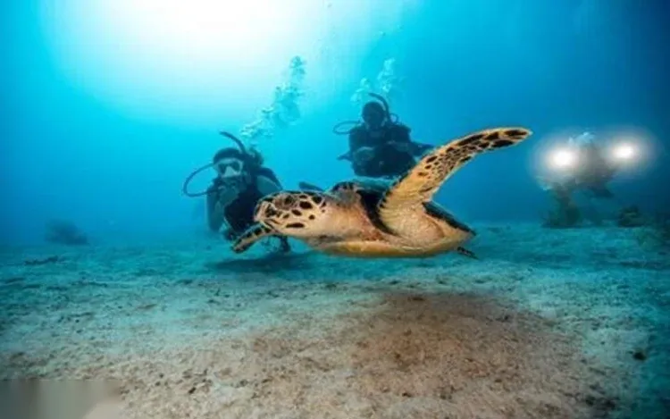 PADI Scuba Diver in Hurghada