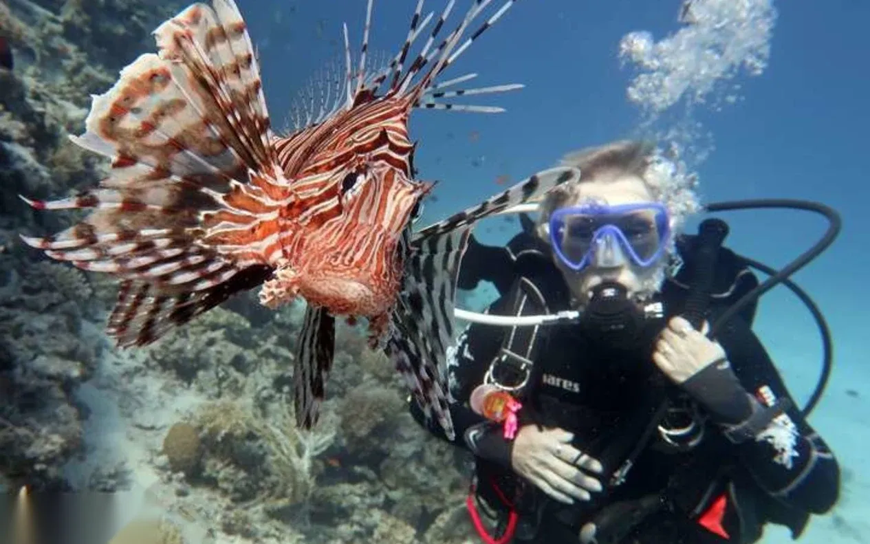 PADI Scuba Diver in Hurghada — view 4