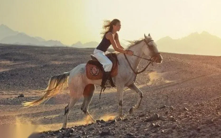 Private Desert Safari in Hurghada — view 5